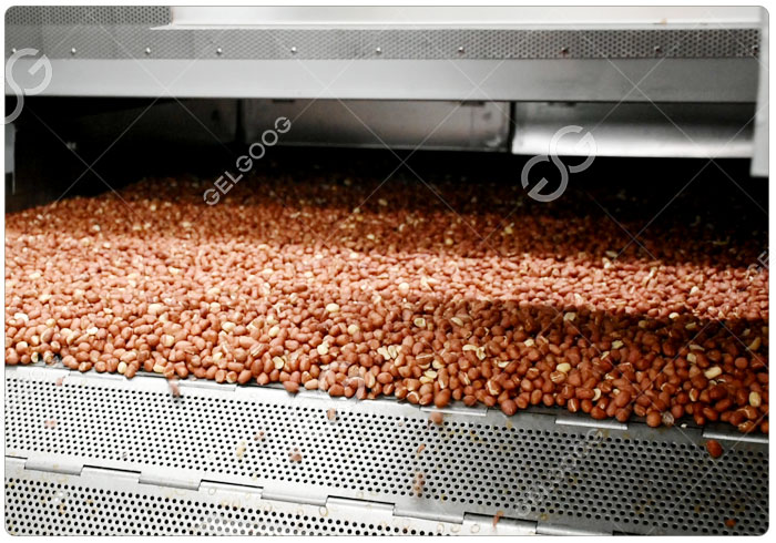 Nut Roasting Machine
